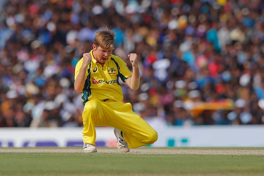 Australia's Adam Zampa celebrates the wicket of Sri Lanka's Angelo Mathews in Dambulla ODI.