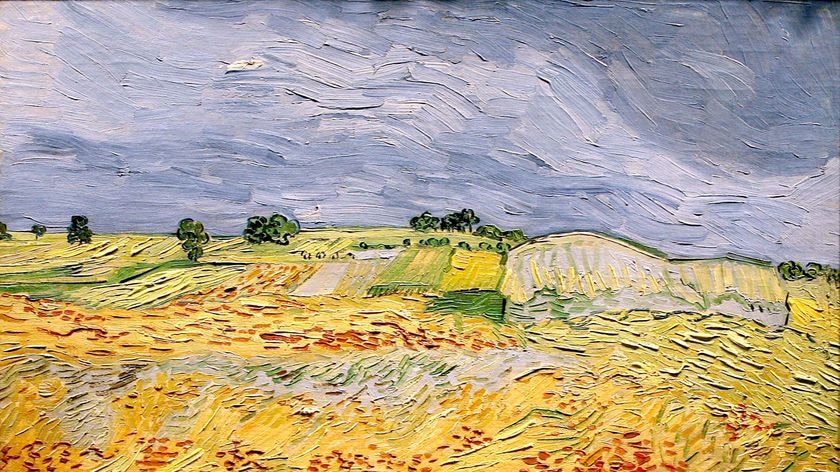 The painting Wheat Fields by Vincent van Gogh failed to sell at an auction [File photo].