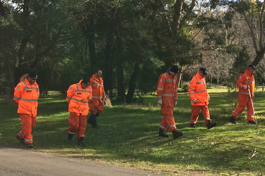 Six men in SES uniforms walk through bushland.