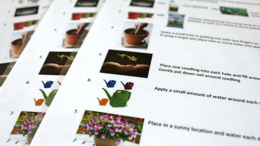 A print-out of step-by-step instructions with pictures help dementia patients with planting seedlings.