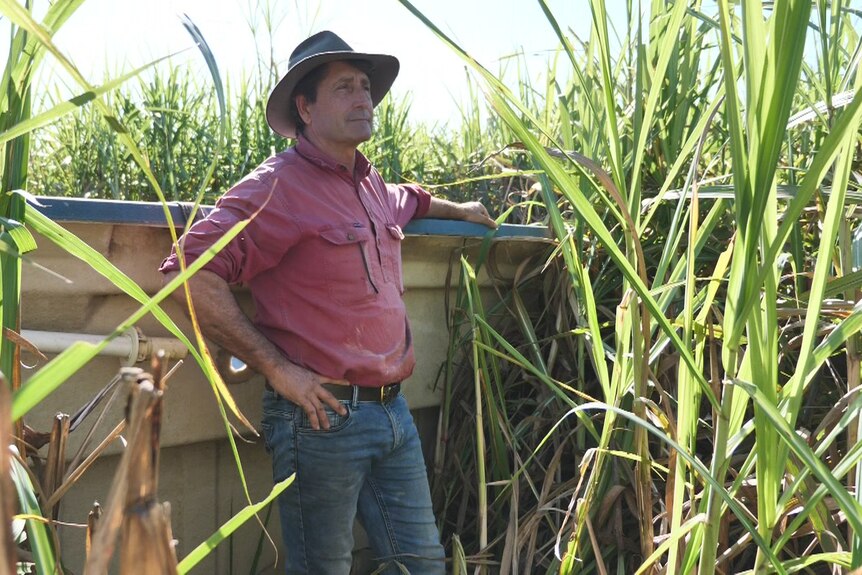 Farmer learning against a fibreglass pool with 3m high cane surrounding them