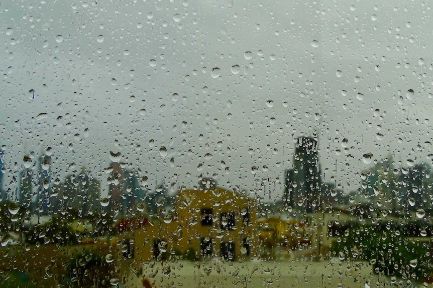 Raindrops on the window.