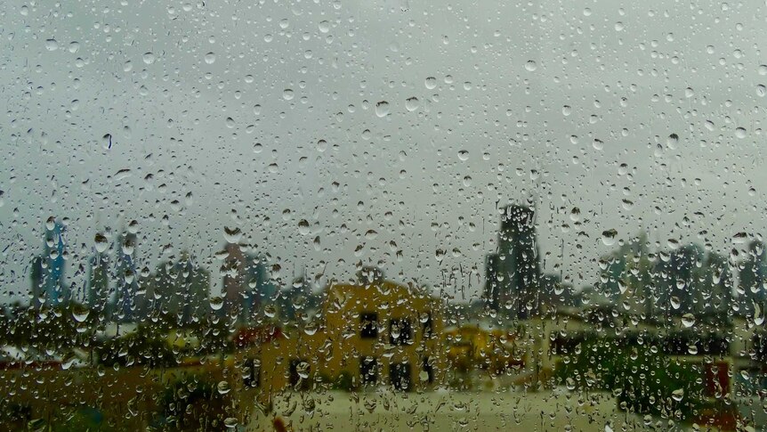 Raindrops on the window.