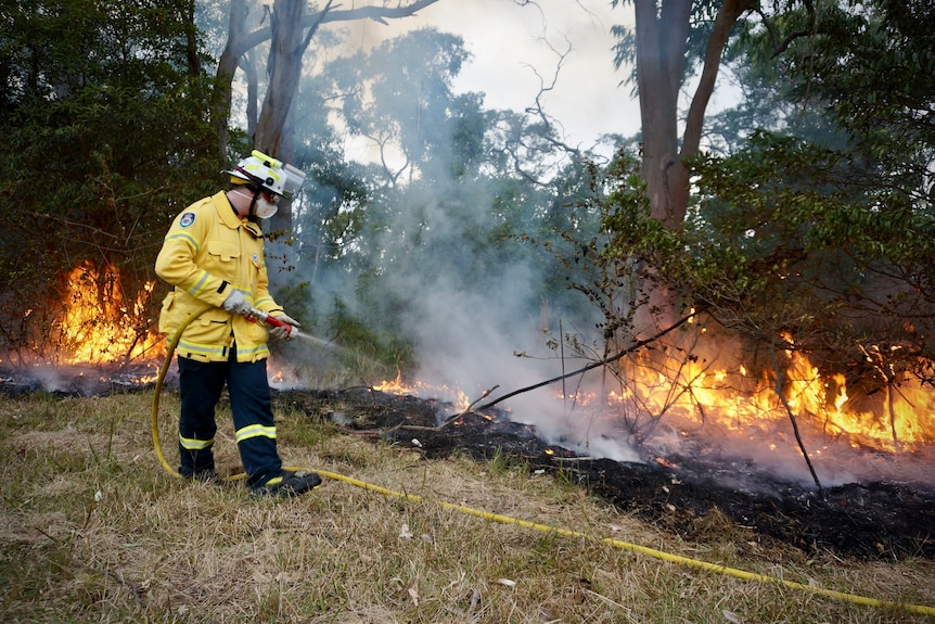 a fireman conducting a hazards reduction controlled  burn