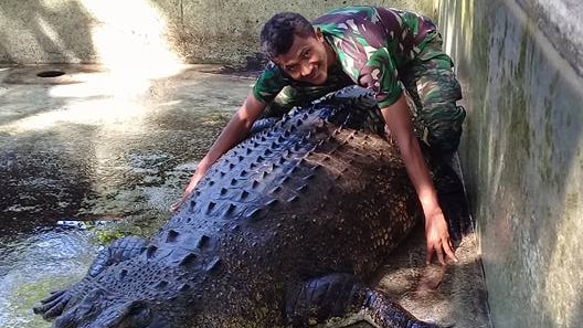 A man in camouflage gear sits on top of a huge crocodile inside an empty pool, hugging it with both arms.