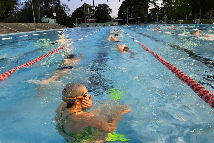 People in a pool.