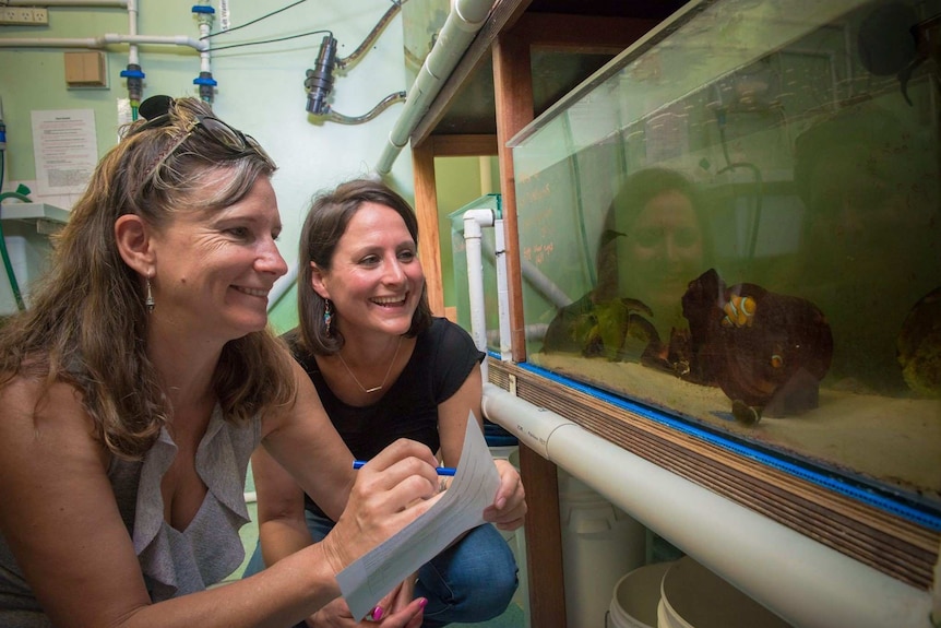 Karen Burke da Silva and Anita Nedosyko observing a clownfish