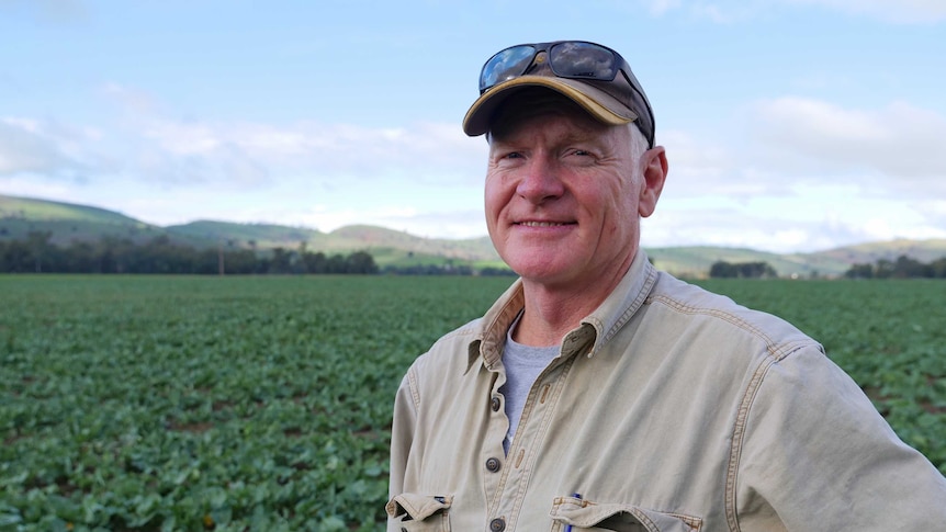 A farmer stands in front of a canola crop in southern New South Wales.