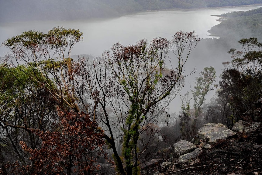 The burnt out area near Warragamba