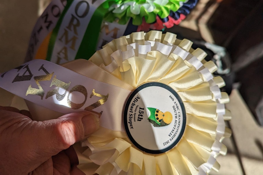 A close of photo of Mr Trumper's rosette ribbons from the national competition  