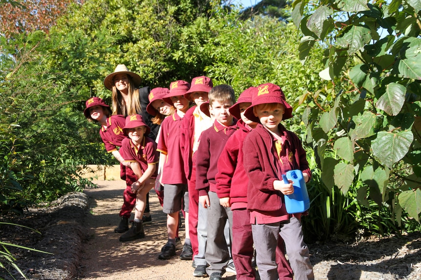 School children in red and grey school uniform, red hats, stand in a row, inside the tiny forest.