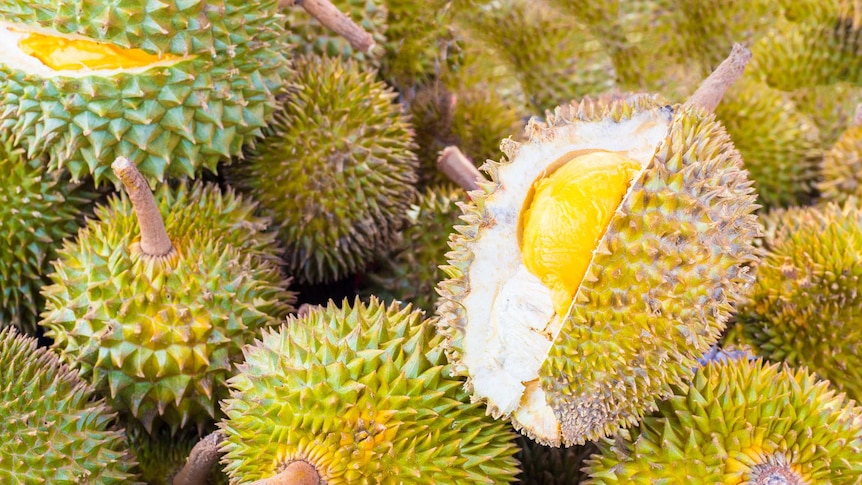 Durian fruit