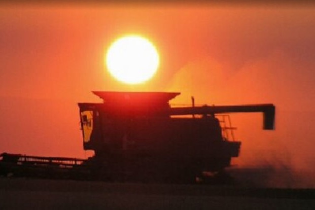 Grain Harvesting