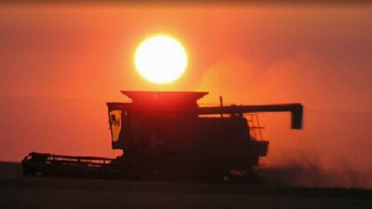 Grain Harvesting