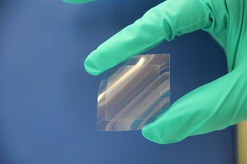 A translucent film is bent in a person's hand