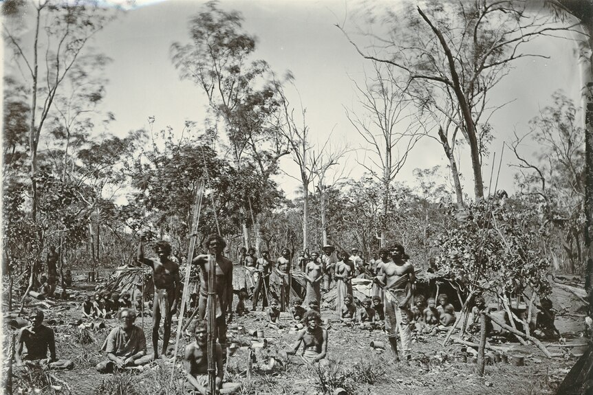 In a bush clearing a large group of Aboriginal people pose for photo in front of their bark shelters.