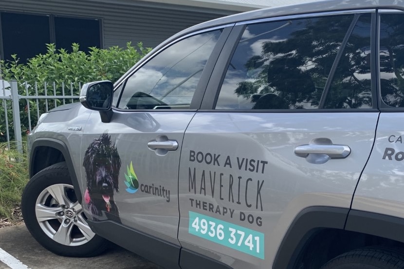 A gray car with a sticker with details on how to book a therapy dog ​​visit