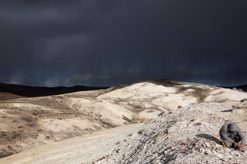 A moody shot of Laguna del Hunco in southern Argentina where ancient fossils of beech trees are found