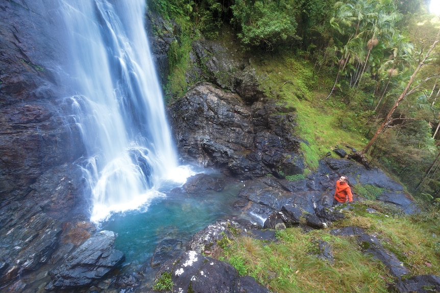 A blue waterfall falling over a cliff face surrounded by lush green trees and rocks with a man in a red jacket observing