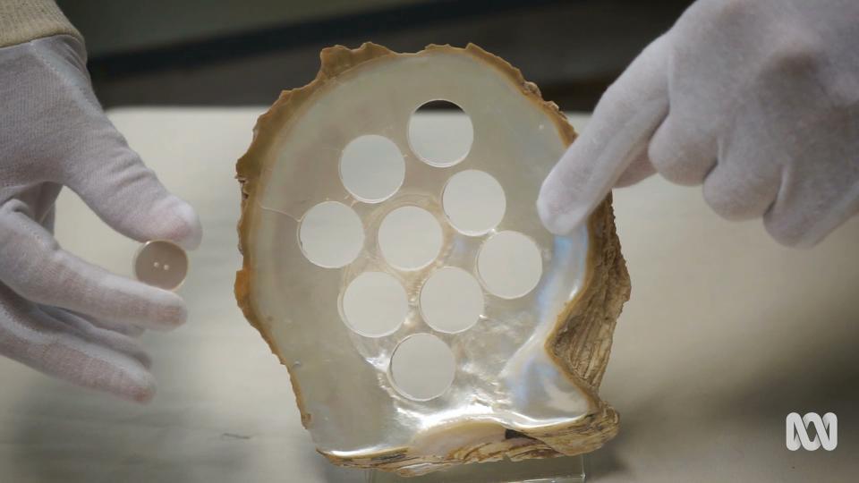 Pearling in the Northern Territory - ABC Education