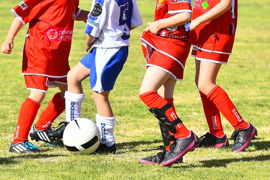 The legs of young soccer players on pitch with a soccer ball.