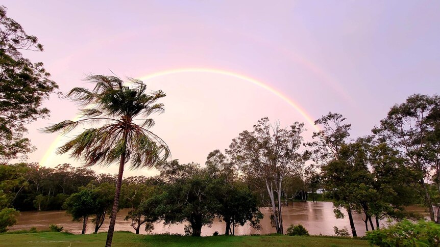 A rainbow stretches over a creek with trees in the foreground. 