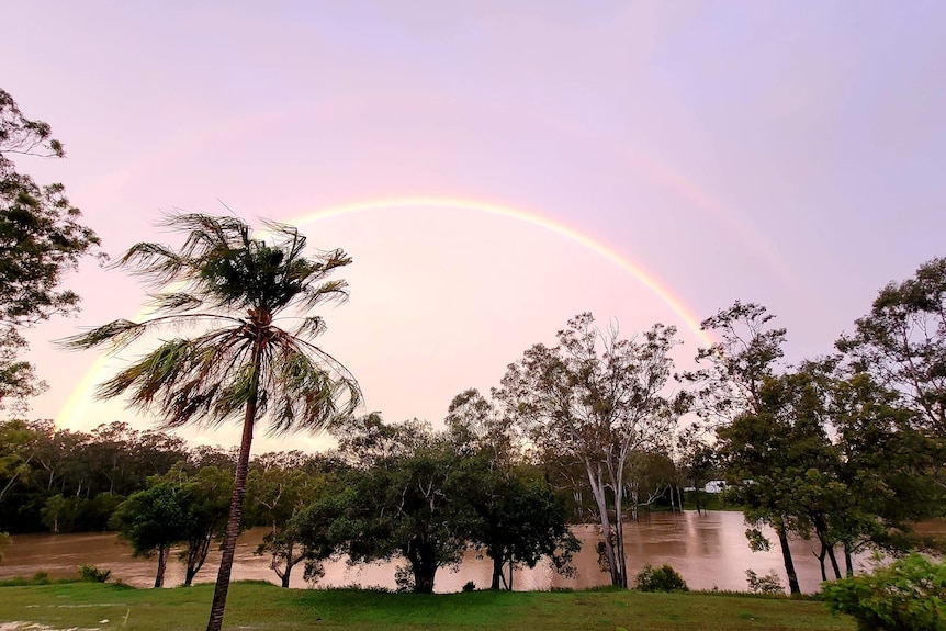 A rainbow stretches over a creek with trees in the foreground. 