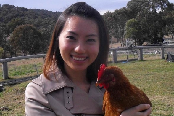 A lady with a brown hair wearing a light brown trench coat holds a brown chicken on a farm.