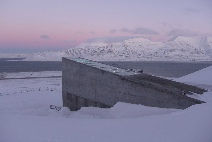 The Svalbard Global Seed Vault is located on a remote Norwegian island about 1,300 kilometres from the North Pole.