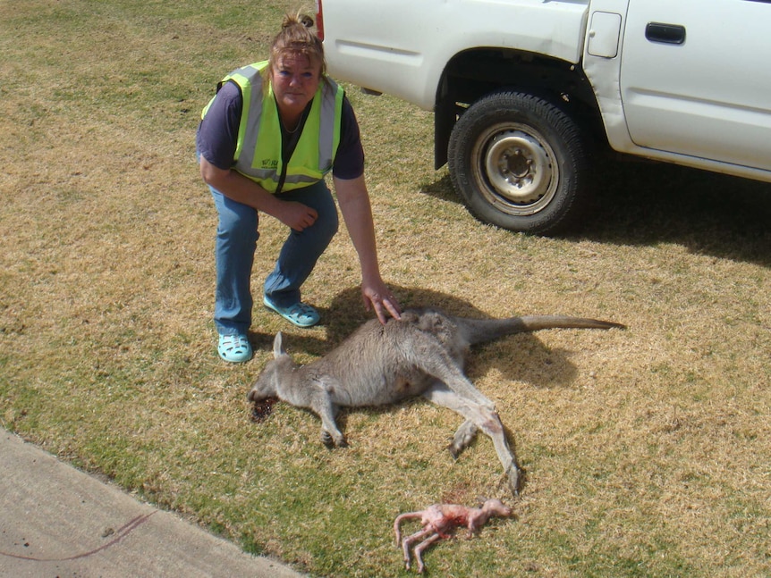 A woman stands next to the carcasses of a kangaroo and a joey on grass.