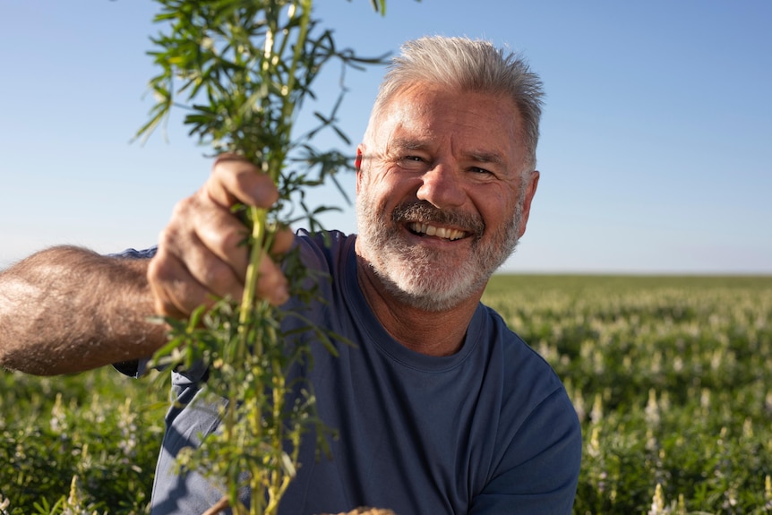 A man holds up a healthy looking plant.