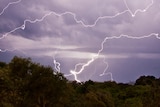 Lightning crashes into the ground at Mudjimba, near the Sunshine Coast Airport, November 17, 2012.
