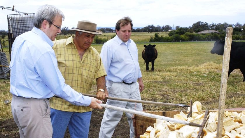 Kevin Rudd helps farmer Pat Miceletta rake out feed for cattle