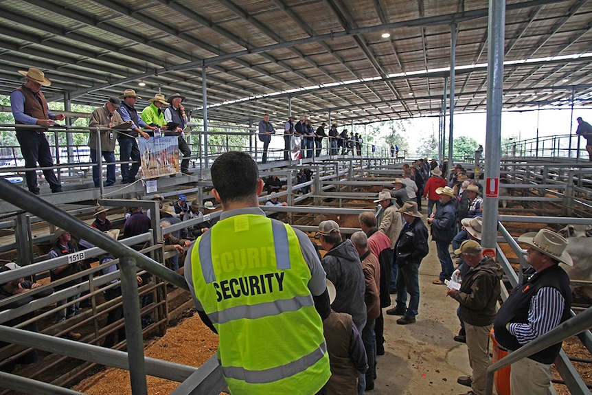 Buyers and vendors on the walkways and laneways at NRLX in Casino.