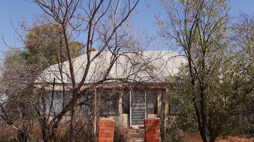 A derelict house with an overgrown front yard and dilapidated red brick front fence.