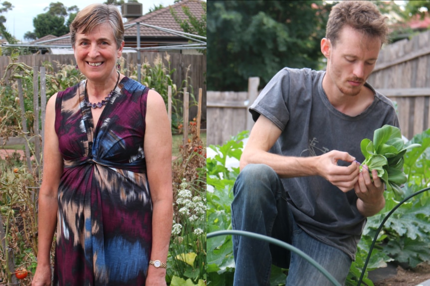 A woman stands in front of a garden bed and a man (right) picks greens.