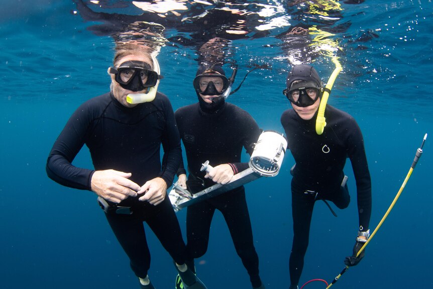 Three men in black dive suits take a group photo underwater.