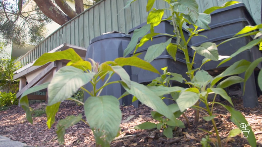 Assortment of compost bins against a green painted wall