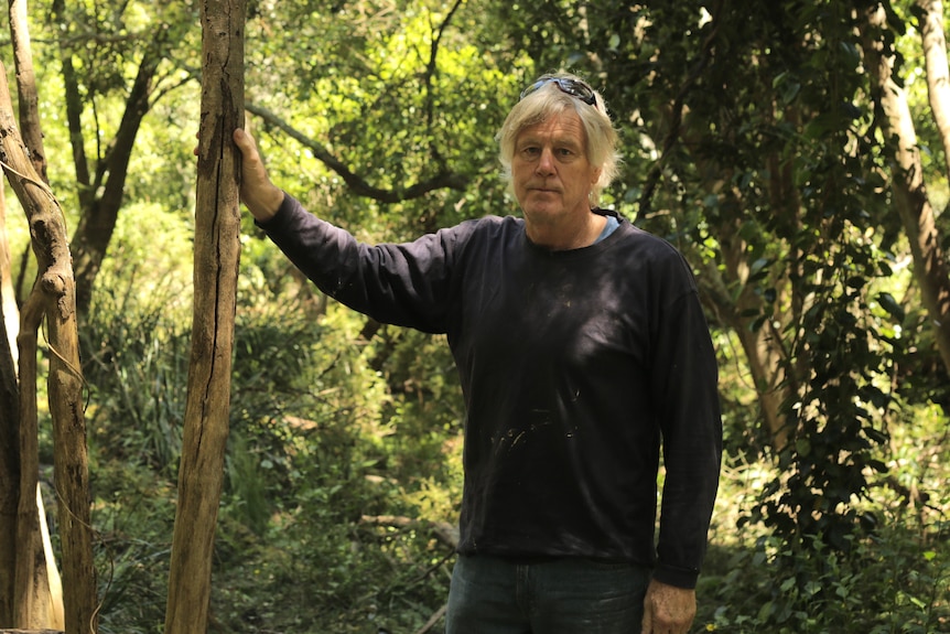 Brian bolding with hand on tree, in a rainforest gully.