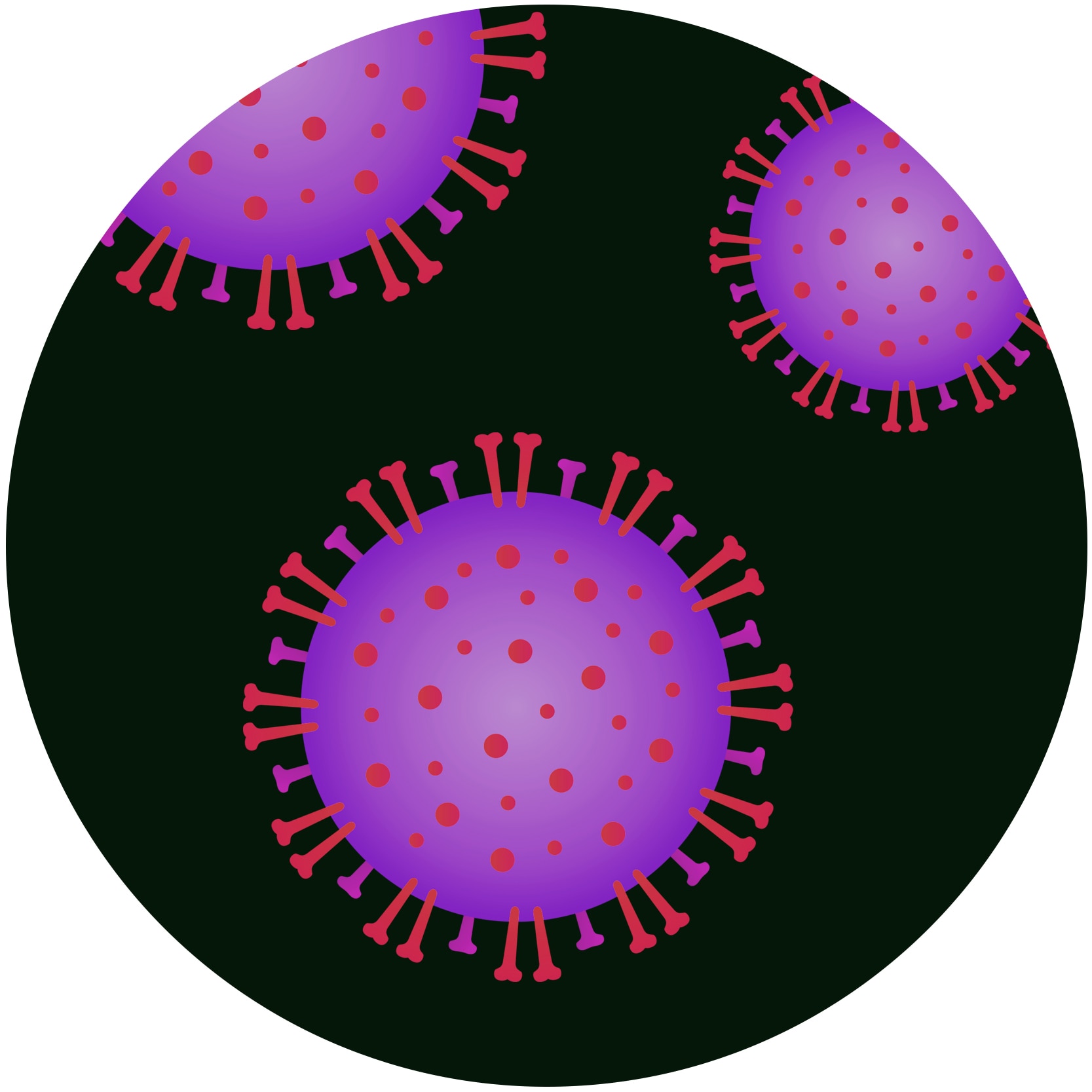 A graphic representation of the measles, mumps and rubella viruses