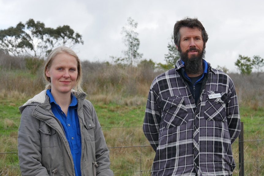 A young lady and bearded man standing in a field 