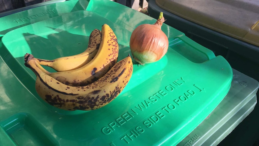 Green bin lid with fruit and vegies on top