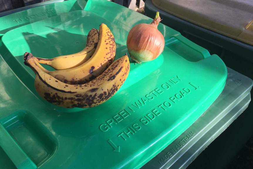 Green bin lid with fruit and vegies on top