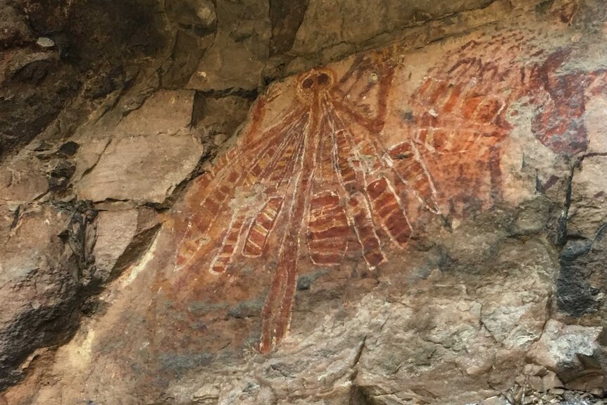 A depiction of the Creation Mother in Dreamtime stories painted on a cave wall at Injalak Hill