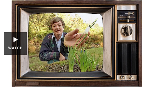 Jane on the screen of an old-fashioned television. Has Video.