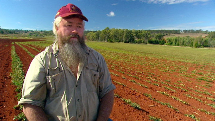 Peanut grower Rob Patch is worried about the potential threat posed by infected peanut imports.