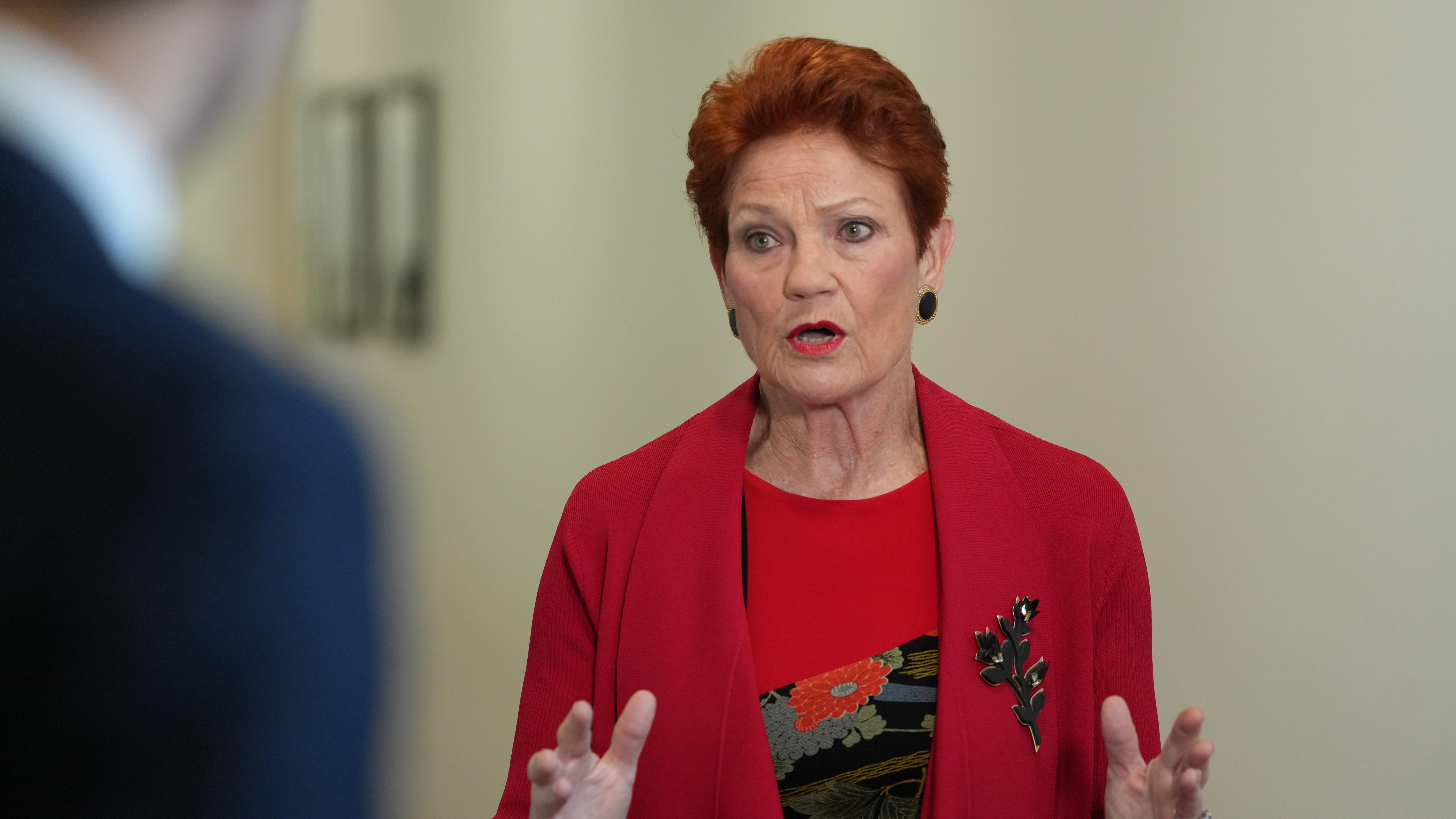 Pauline Hanson in red speaking with reporter in foreground.