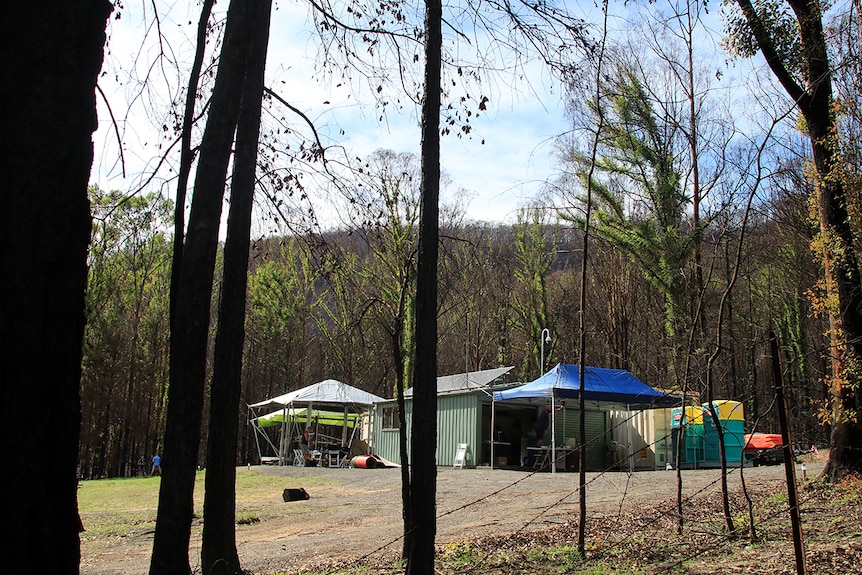 A Blaze Aid camp with a shed and marquees surrounded by burnt bushland in Kangaroo Valley.