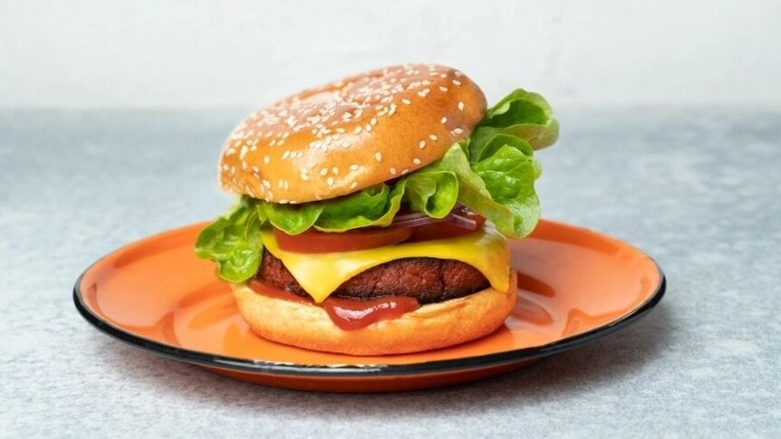a typical looking hamburger with meat type filling and lettuce 