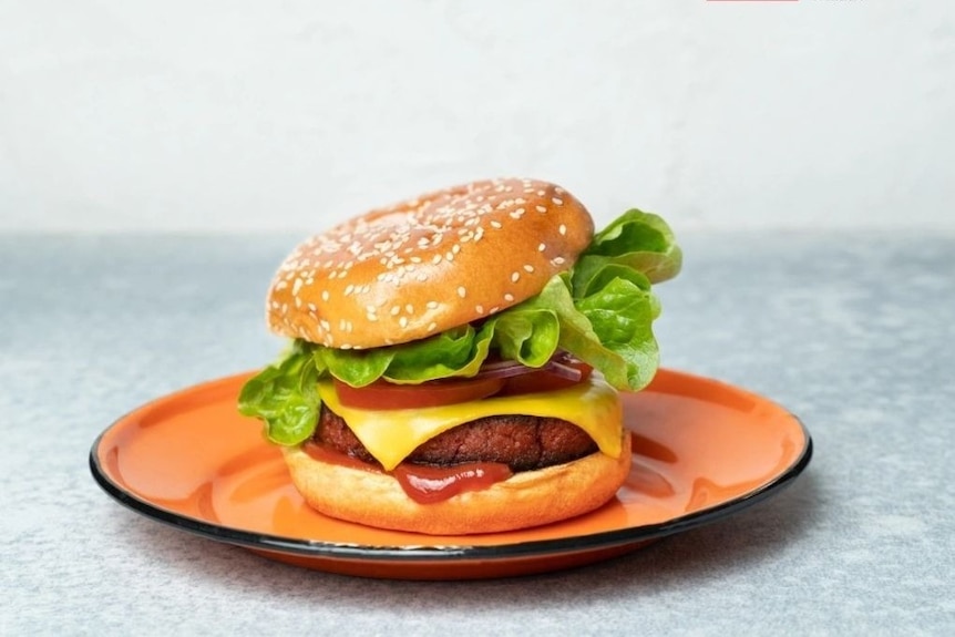 a typical looking hamburger with meat type filling and lettuce 